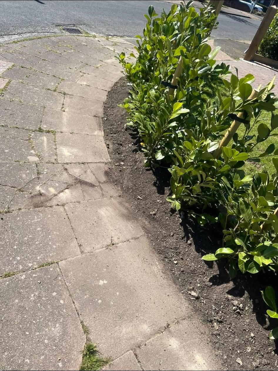 Laurel hedge with a freshly dug border beside a curved paved path